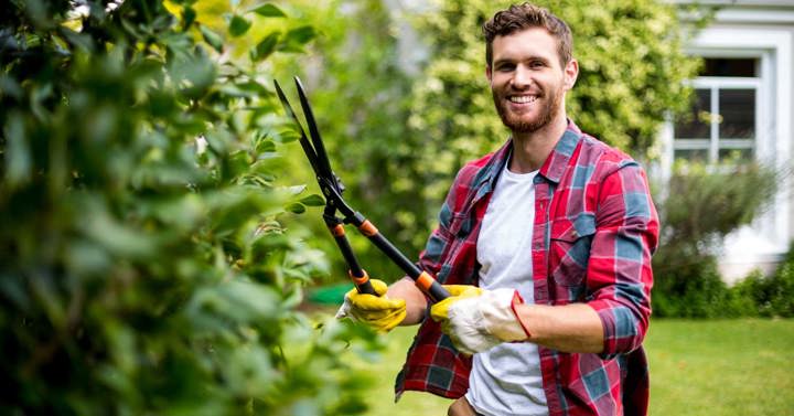 Adobestock 111030808 Crop 1500